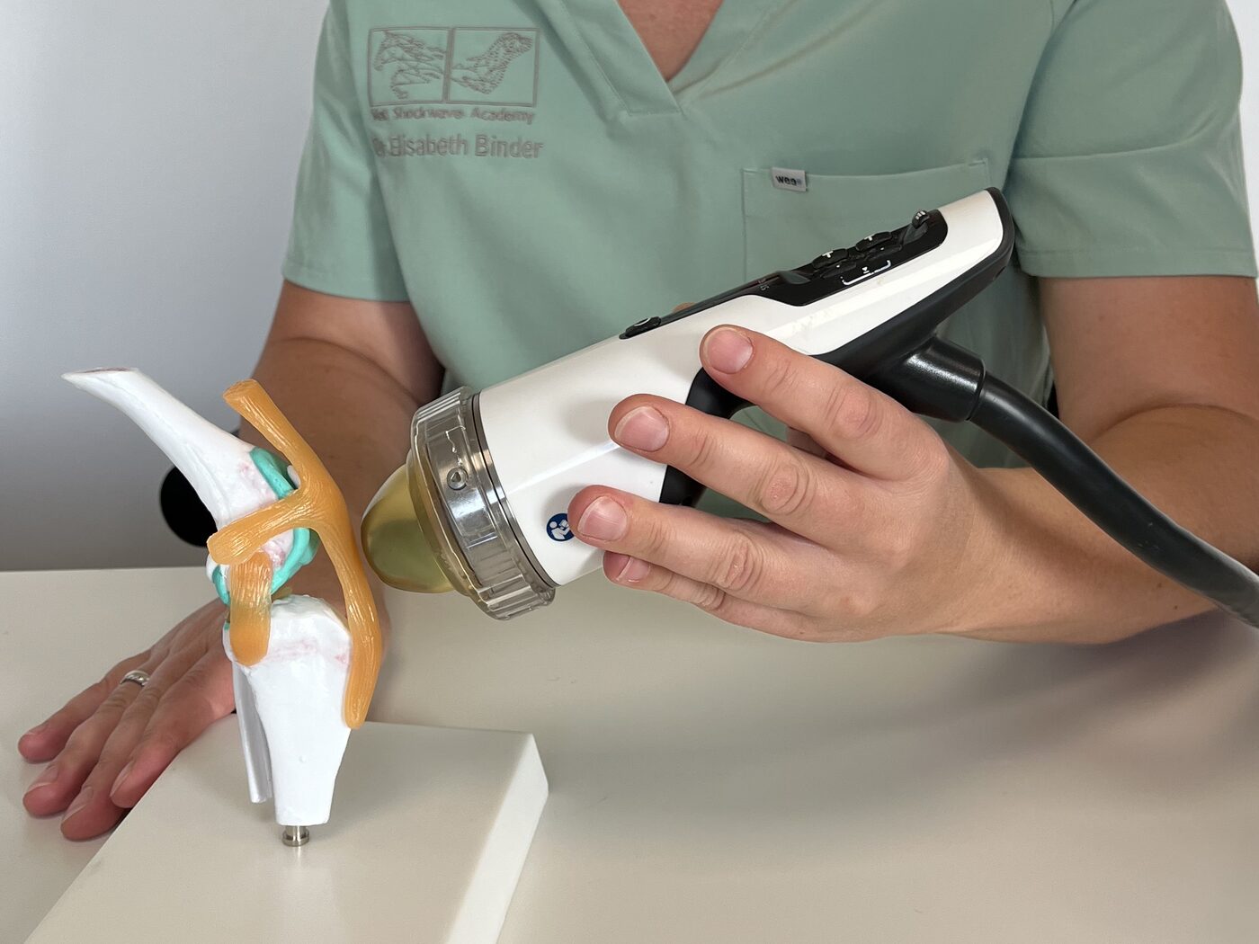 Focused handpiece on a stifle joint model
